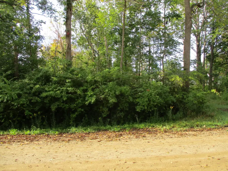 Orchard Road, South Haven, MI 49090 - #3