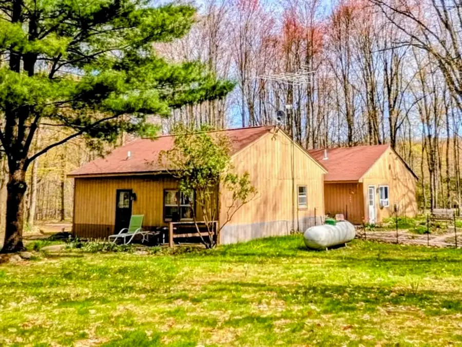 6779 S Woods Trail, Custer, MI 49405 - #3