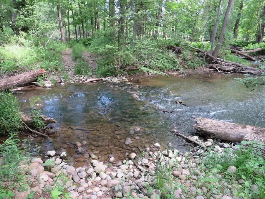 Vl Rescue Road, Owendale, MI 48754 - #2