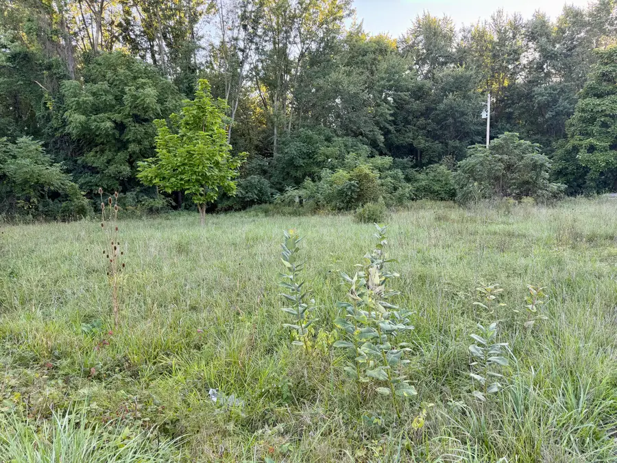 4050 Division Street, Wayland, MI 49348 - #3