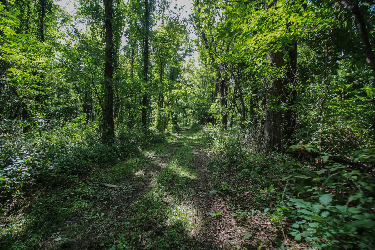 V/L Millard Road, Three Rivers, MI 49093 - #1