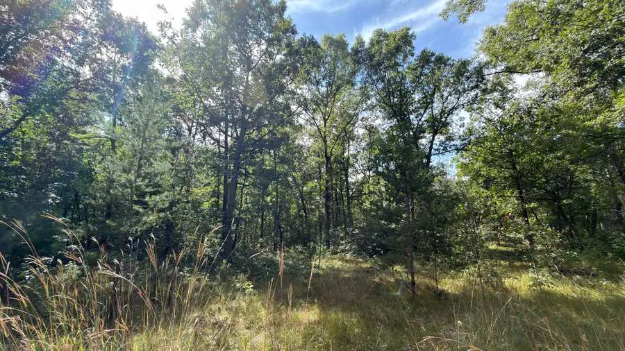 151 N Horseshoe Bend Road, Manistee, MI 49660 - #2