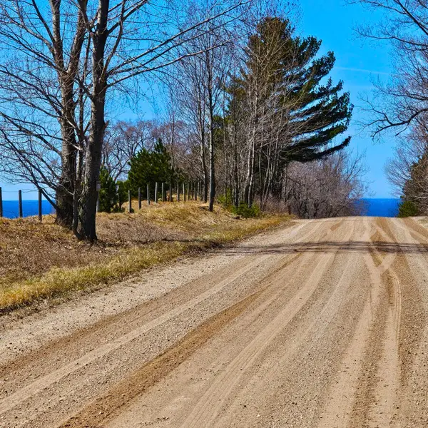 V/L Bischoff Road, Arcadia, MI 49613