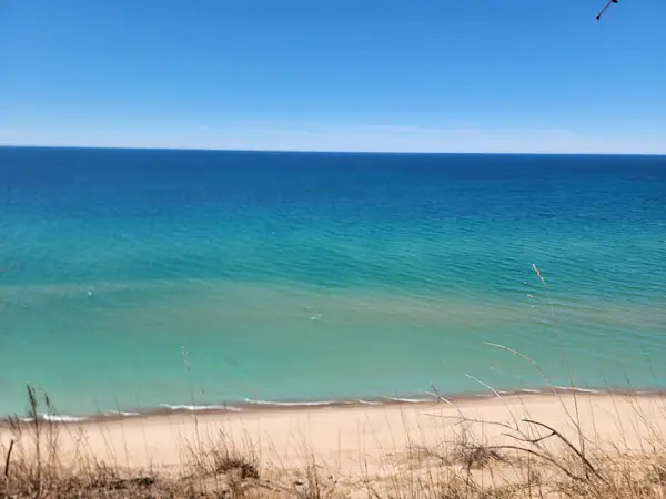 15200 V/l Lake Bluff Rd. Arcadia Mi Road, Arcadia, MI 49613