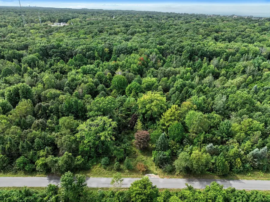 18312 Kinst Road, New Buffalo, MI 49117 - #3