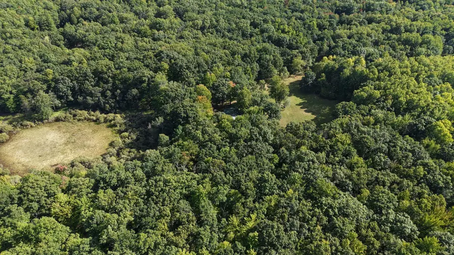 10703 N Mac Road, Irons, MI 49644 - #2