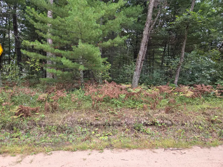 S Idlewild Boulevard, Idlewild, MI 49642 - #2