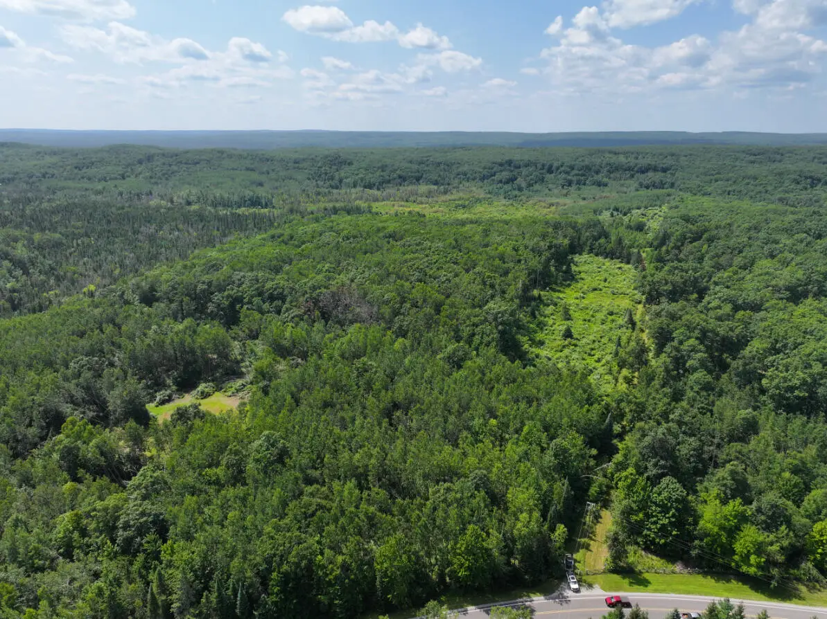 V/L 165A N Mt Maria Road, Hubbard Lake, MI 49747 - #1
