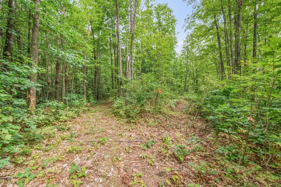 V/L 05 8 Mile Rd, Evart, MI 49631 - #3