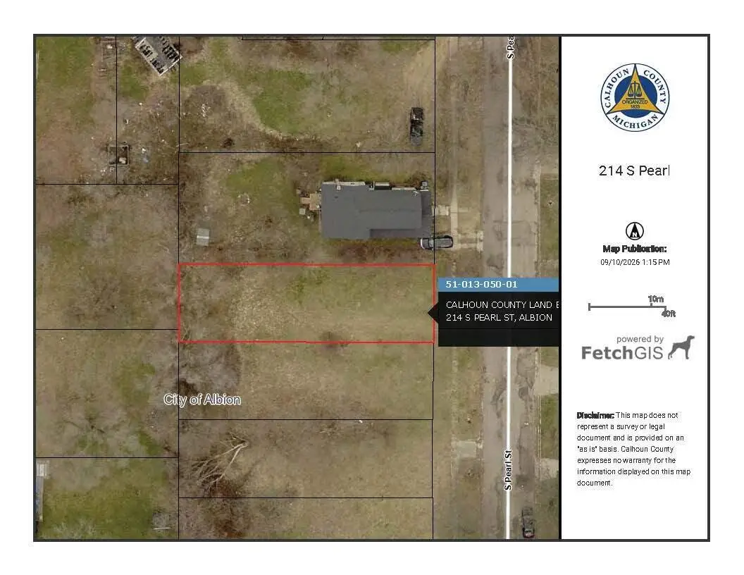 214 S Pearl Street, Albion, MI 49224 - #1