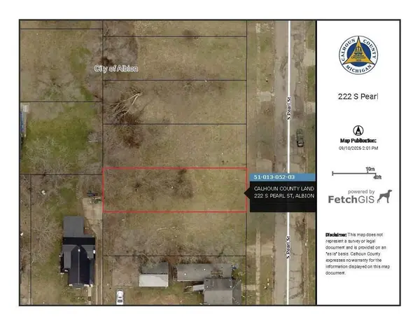 222 S Pearl Street, Albion, MI 49224