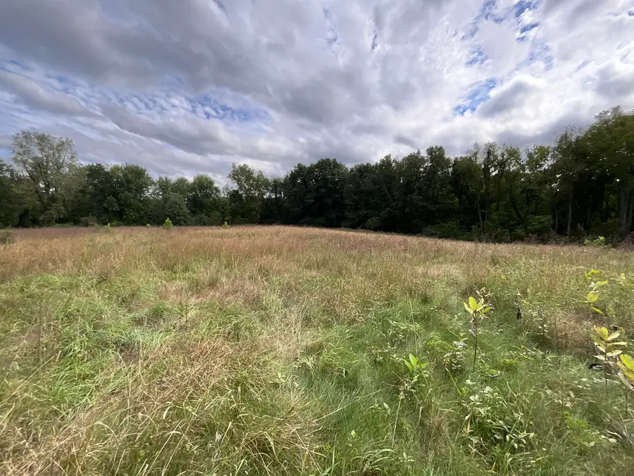 V/L Priest Street, Dowagiac, MI 49047 - #3