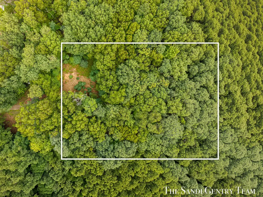 3177 N Silver Ridge Road, Mears, MI 49436 - #2