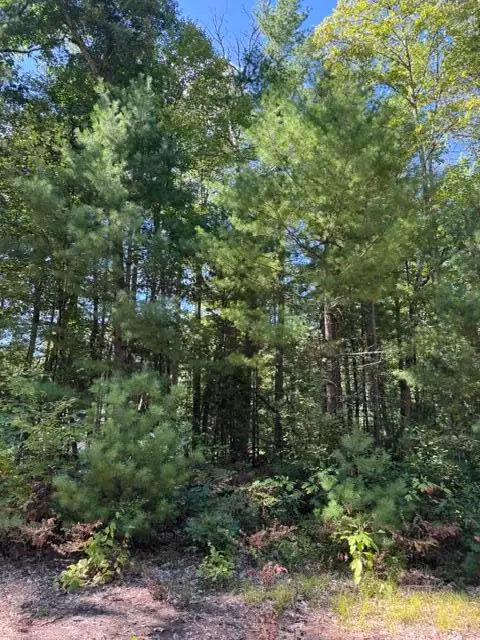 V/L S Pershing Road, Baldwin, MI 49304