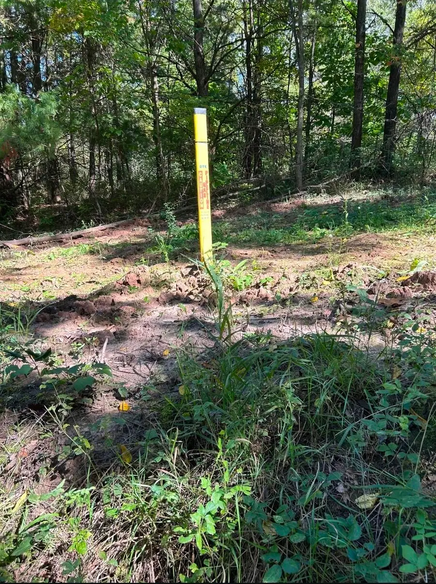 POLP Centerline, Newaygo, MI 49337 - #2