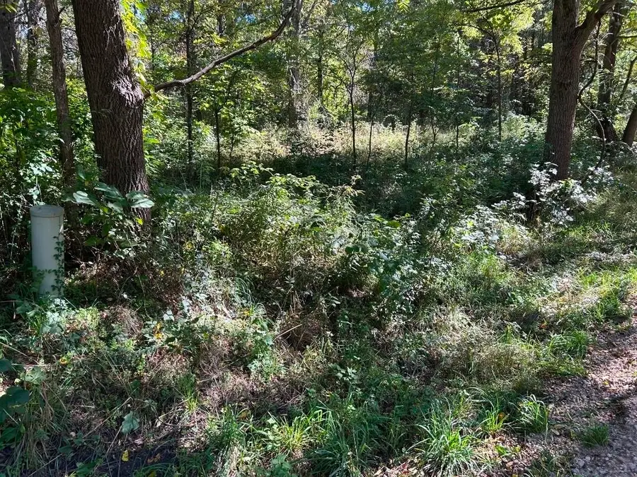 POLP Centerline, Newaygo, MI 49337 - #3