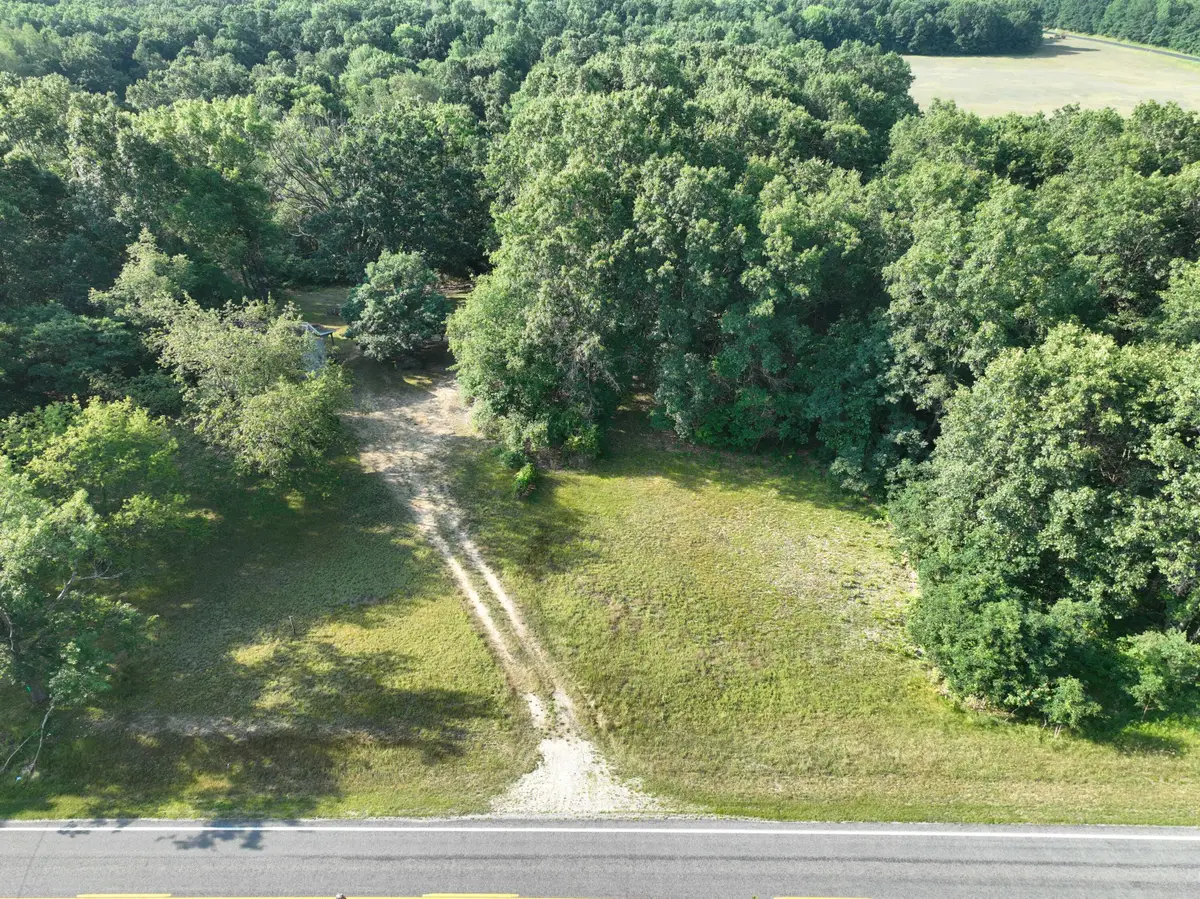 6539 E Madison Road, Walkerville, MI 49459 - #1