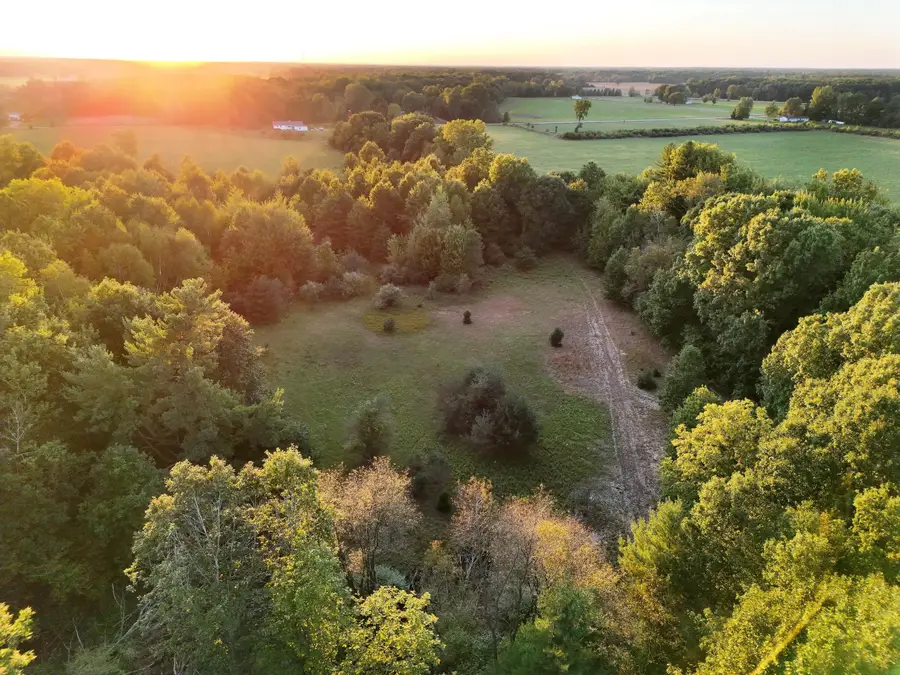 V/L Lot 7 S Fenmore Road, Bannister, MI 48807 - #2