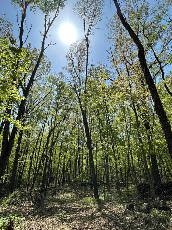 W Kirby Road, Battle Creek, MI 49017