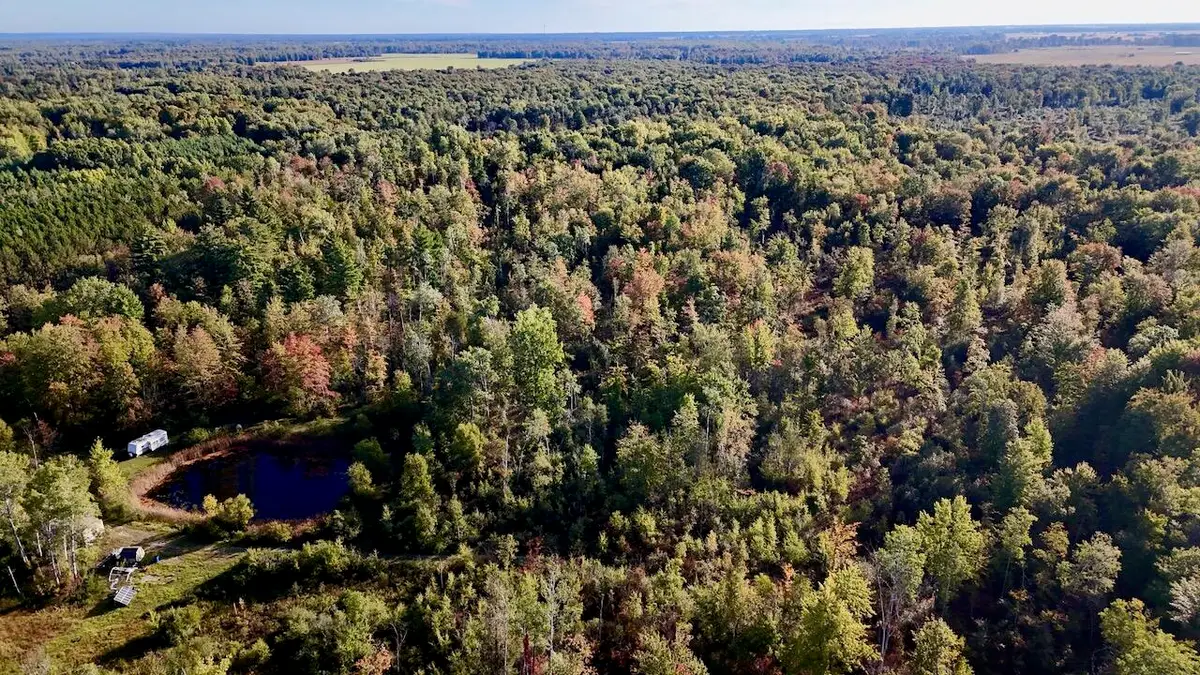 190 N Crawford Road, Twining, MI 48766 - #1