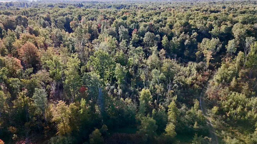 190 N Crawford Road, Twining, MI 48766 - #3
