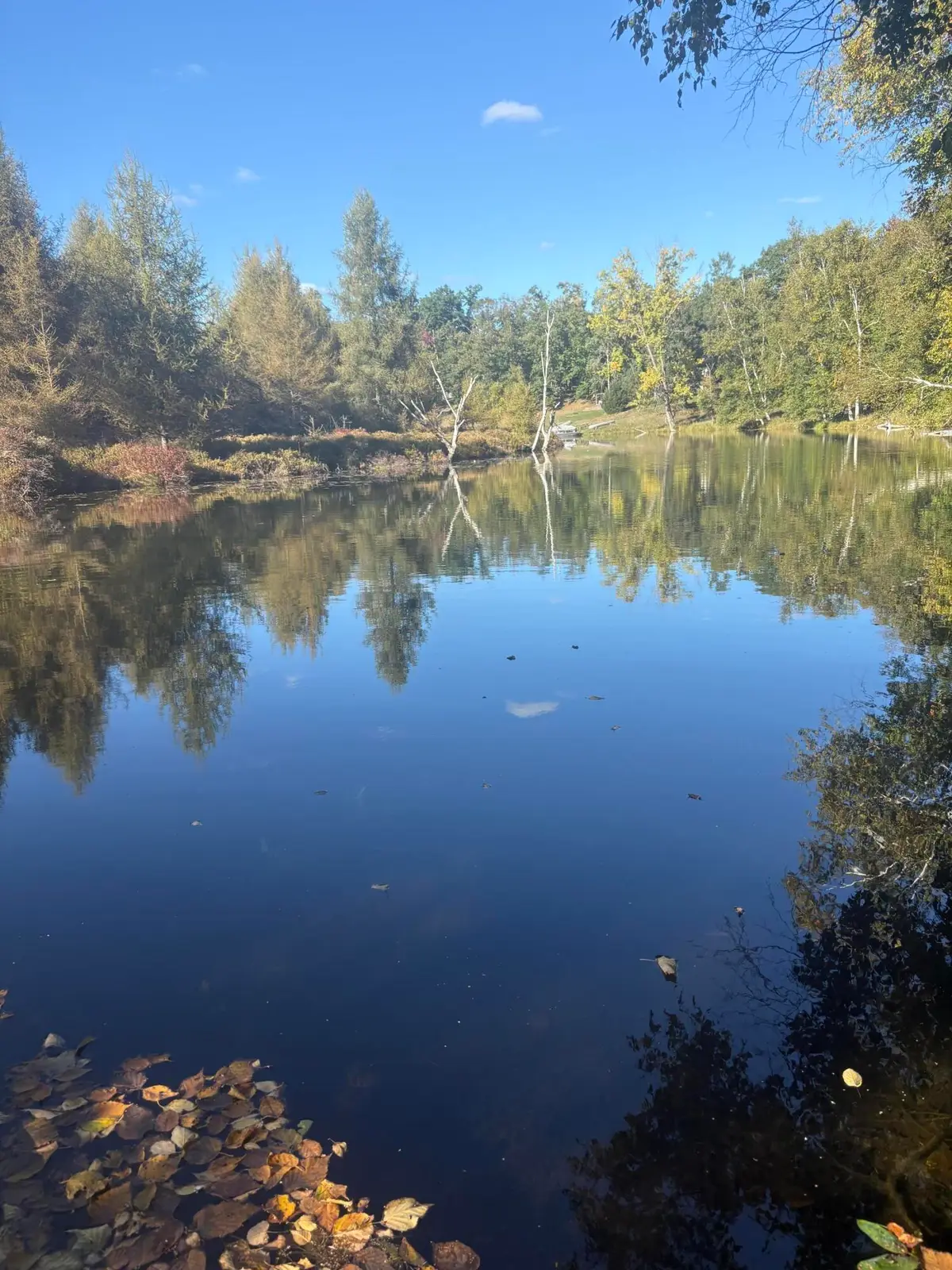 9025 Boggie Drive, Stanwood, MI 49346 - #1
