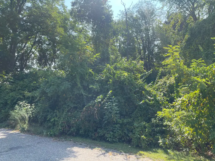 V/L Mcarthur Road, Jackson, MI 49203 - #2