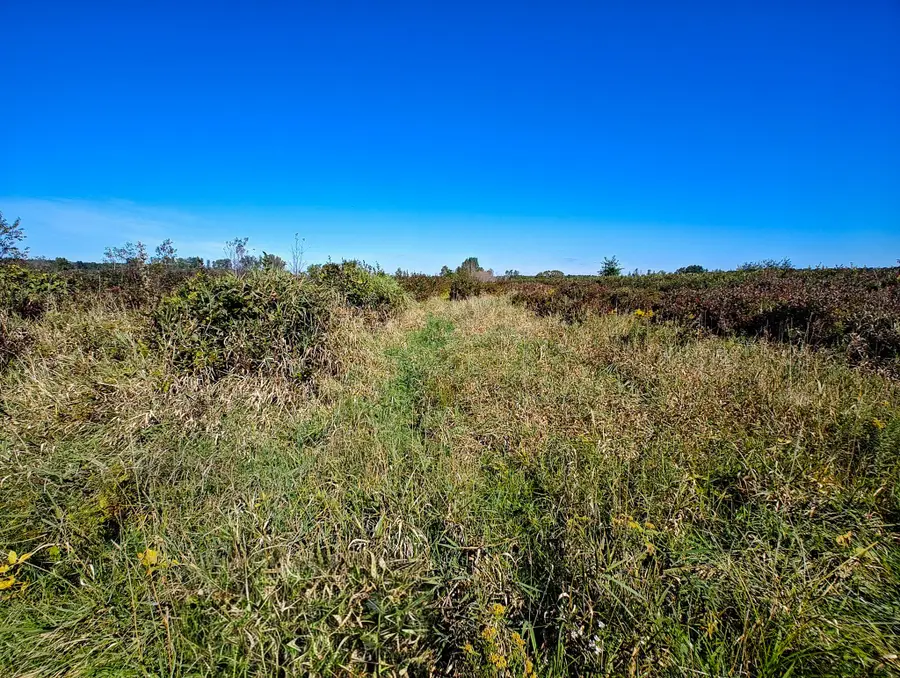 VL 72nd St, Covert, MI 49043 - #3