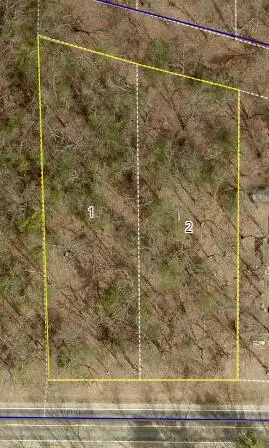 Monroe Vacant Land 2 Parcels Road, Allegan, MI 49010