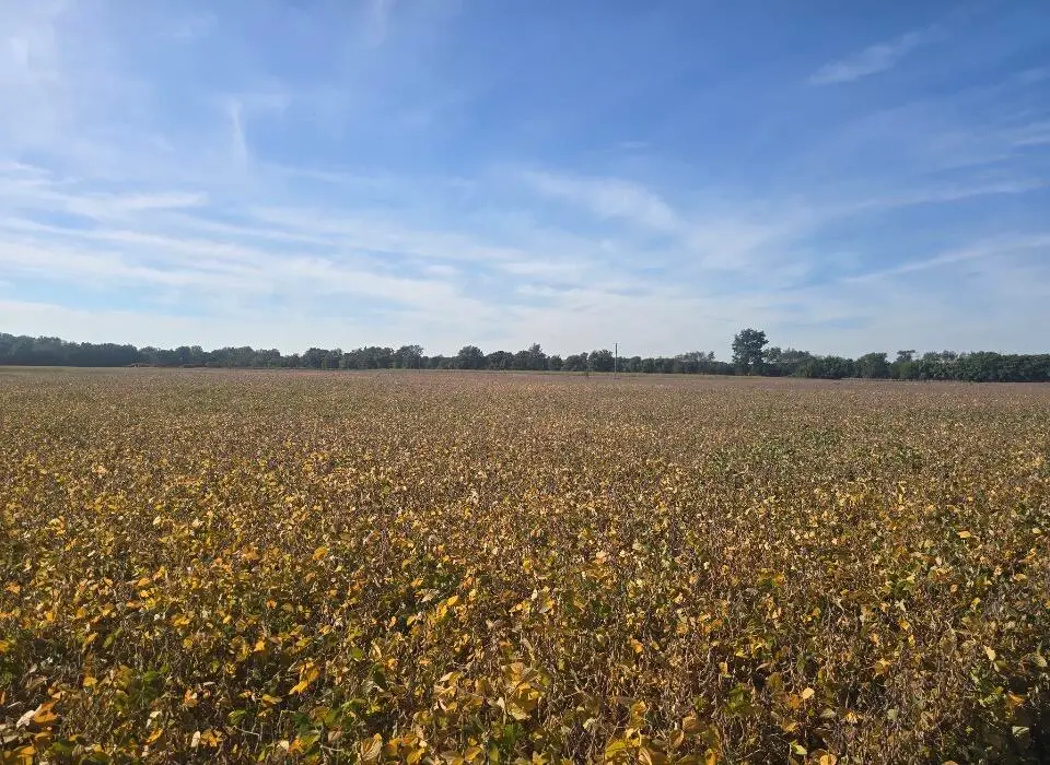 Marshall Road, Coldwater, MI 49036 - #1