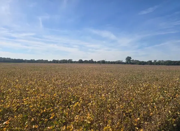 Marshall Road, Coldwater, MI 49036