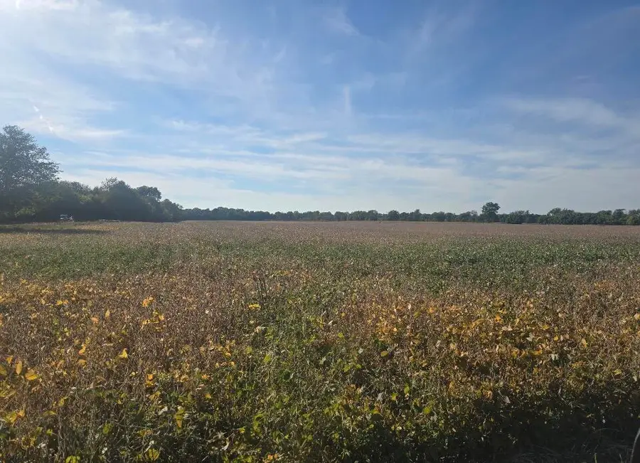 Marshall Road, Coldwater, MI 49036 - #2
