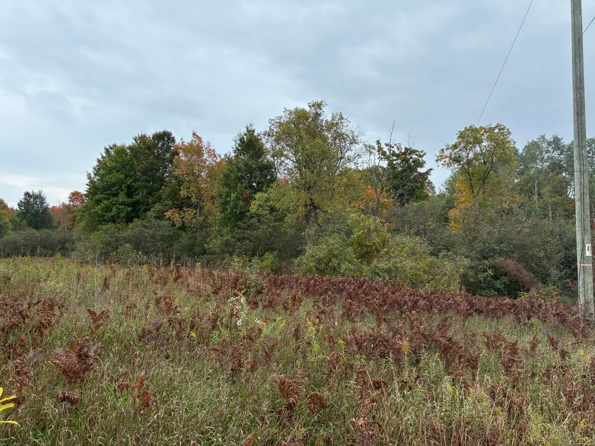10430 N Elm Avenue, Paris, MI 49338 - #1