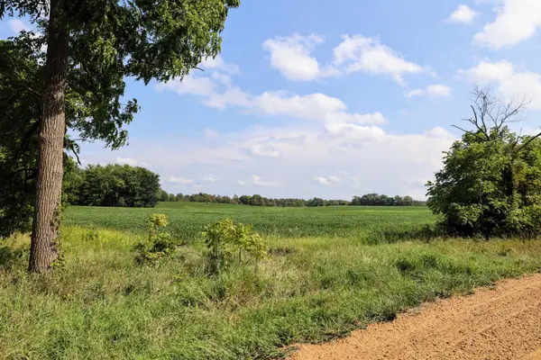 4667 Hill Road, Bellevue, MI 49021