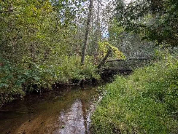 22313 10 Mile Road, Reed City, MI 49677