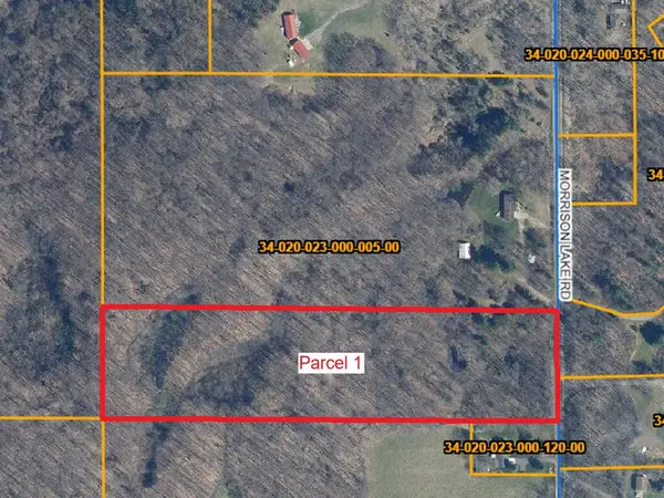 6286 Morrison Lake Road #Parcel 1, Saranac, MI 48881