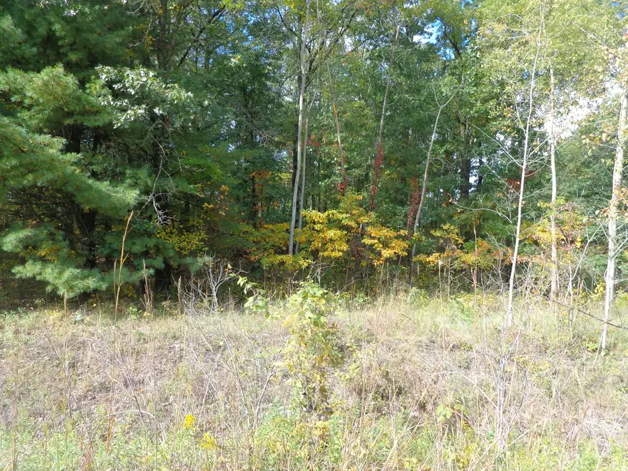 Parcel B 109th Avenue, Pullman, MI 49450 - #2
