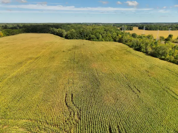 N Bray Road, Clio, MI 48420
