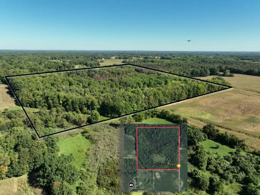 14666 Fedore Road, Buchanan, MI 49107 - #2