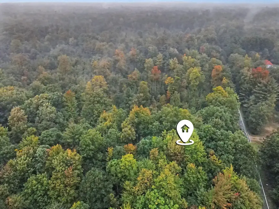 Orshal Road #.77 ac, Whitehall, MI 49461 - #3