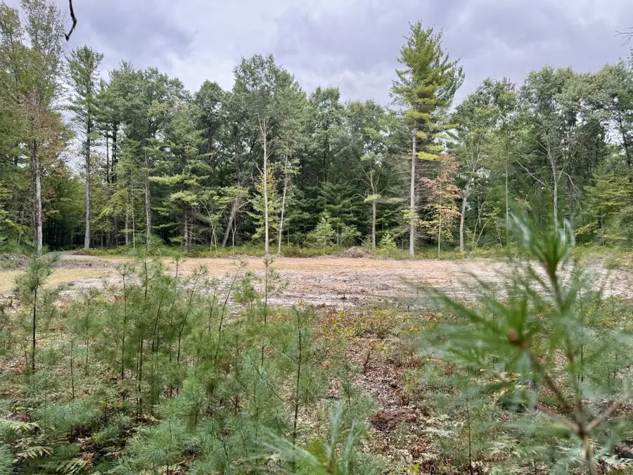 403 W Wackerly Road, Sanford, MI 48657 - #3
