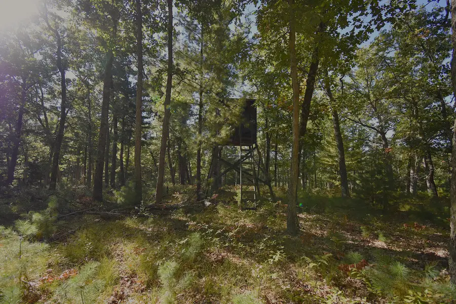 Whitney Street, Baldwin, MI 49304 - #2
