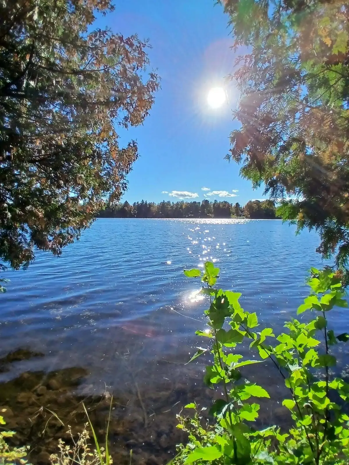 2625 River Bluff Drive, Alpena, MI 49707 - #1