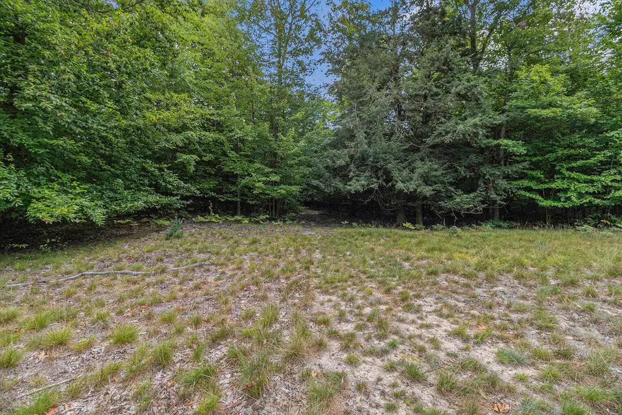Lot 3 Pine Street, Mears, MI 49436 - #2