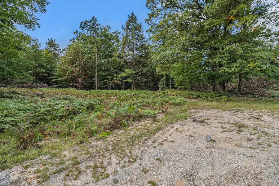 Lot 3 Pine Street, Mears, MI 49436 - #3