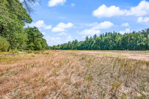 V/L 57 A S Locust Avenue, White Cloud, MI 49349