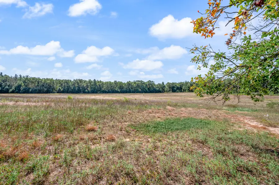 V/L 57 A S Locust Avenue, White Cloud, MI 49349 - #3