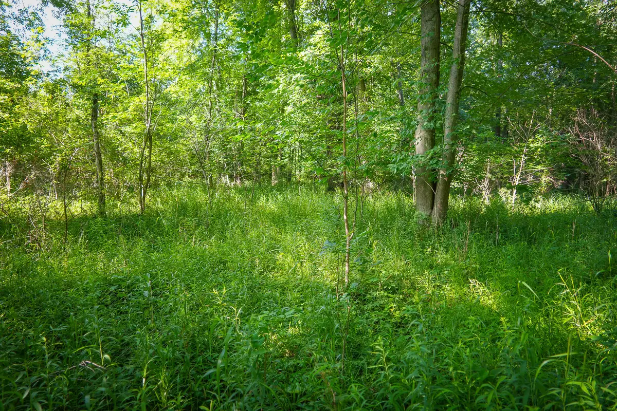 V/L 12A S 168th Avenue, Hesperia, MI 49421 - #1