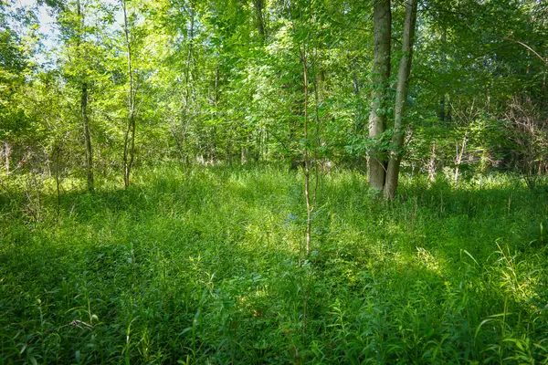 V/L 12A S 168th Avenue, Hesperia, MI 49421
