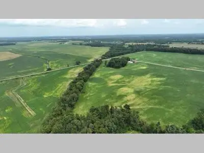 Witt Lake Road, Burr Oak, MI 49030 - #2